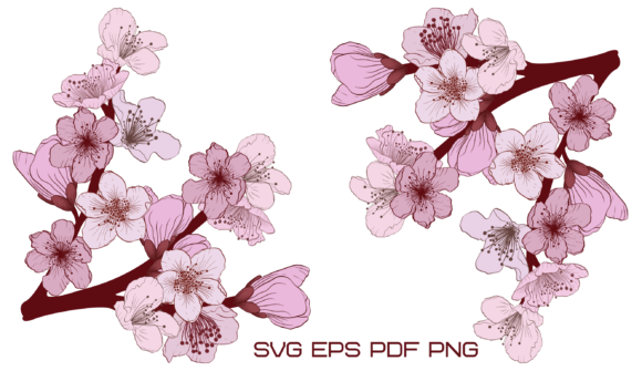 Apricot Branch SVG: Graphics for Print Templates