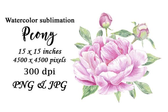 Watercolor Peony Flower Sublimation PNG: Graphics for Print Templates