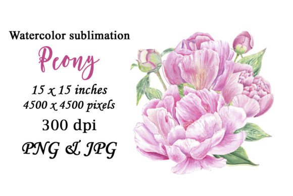 Watercolor Peony Pink Flower Sublimation